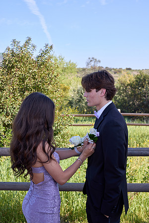 Prom 15