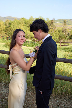 Prom 12