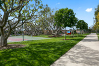 H.SquareCommon-6Web