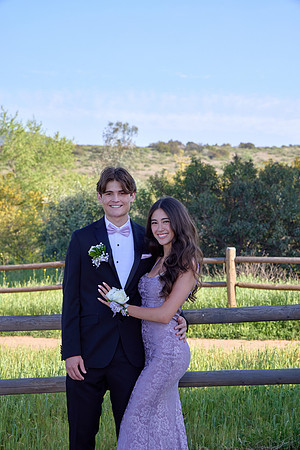Prom 85