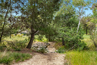 CanyonPark14Web