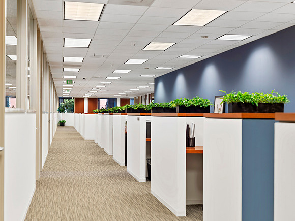 Berkshire_Newport14Web