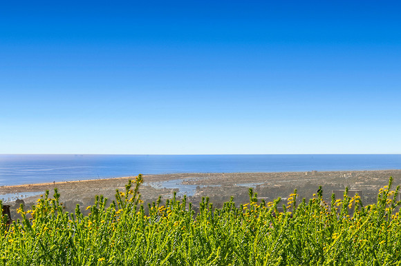 View1Web