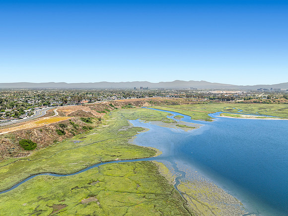 Aerial7Web