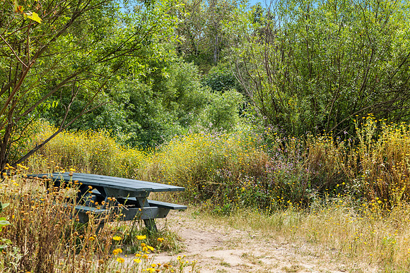 CanyonPark8HiRes