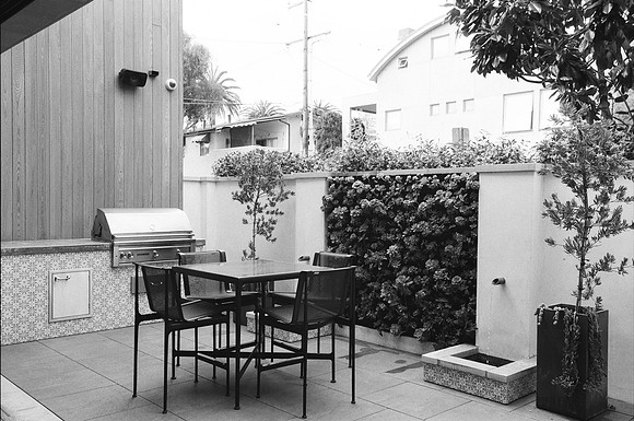 429Marigold2
