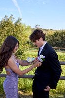 Prom 14