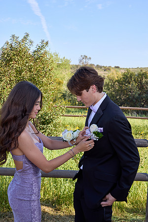 Prom 14